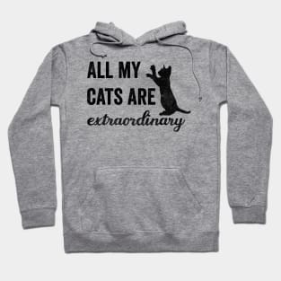 All My Cats Are Extraordinary Hoodie